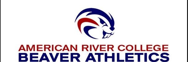 ARCSoftball banner