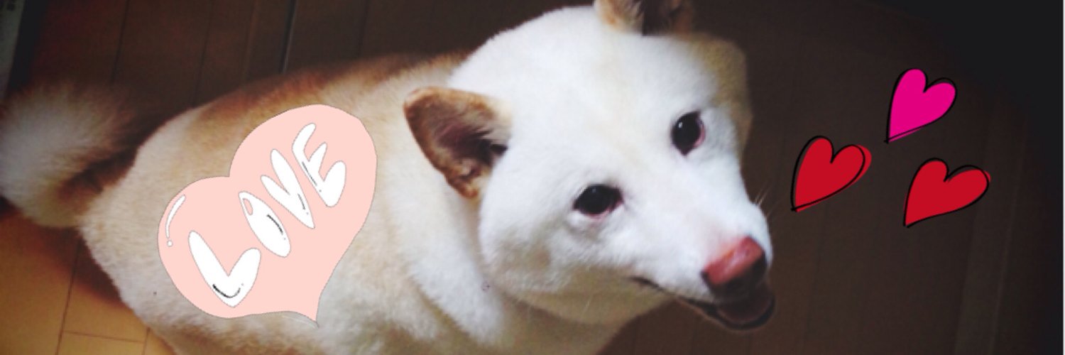 a_y_m25's profile banner image
