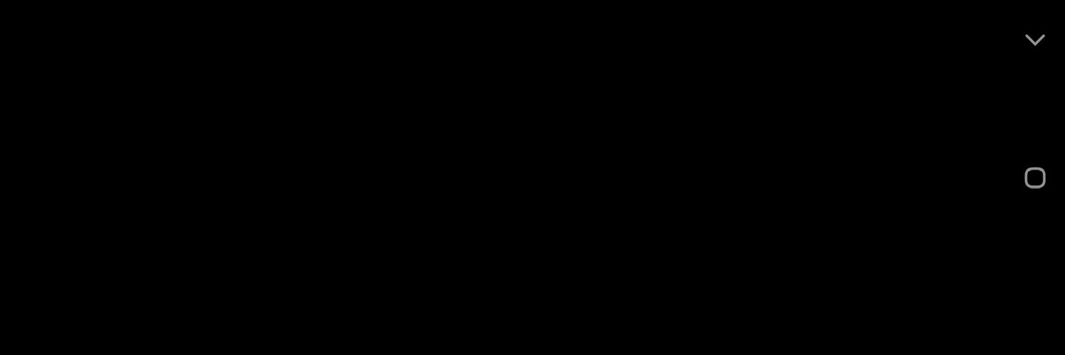 Turtle banner