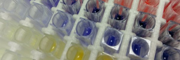 OrlinskiPawe Profile Banner