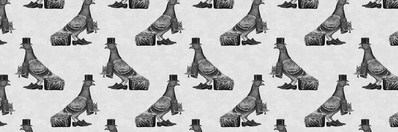 TimidScientist's profile banner image