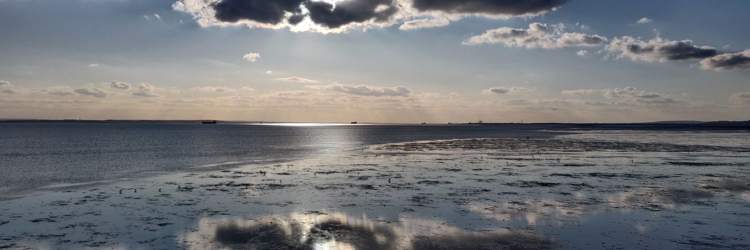 critical mass of greebos banner