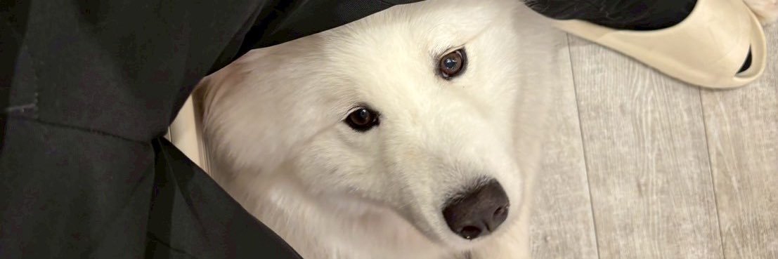 n__notg's profile banner image