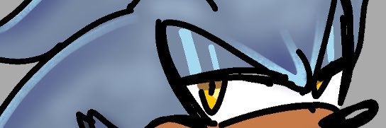 Swisherdisc's banner