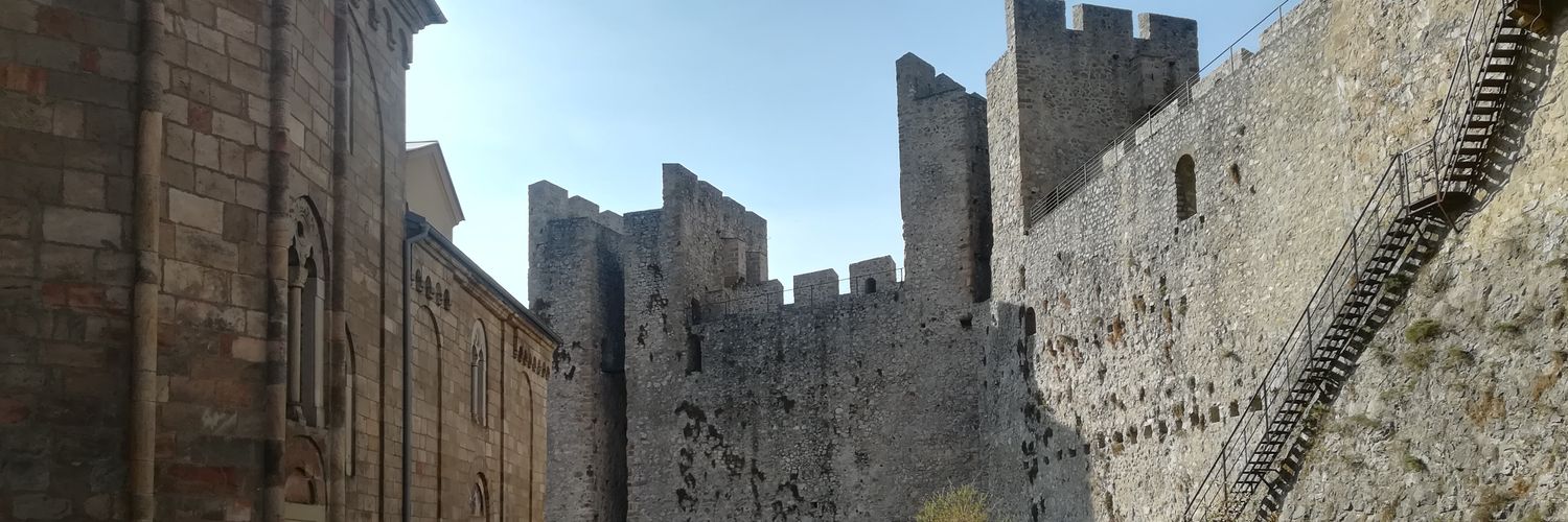 mmauzerr's profile banner image