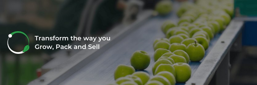 Radford Software banner