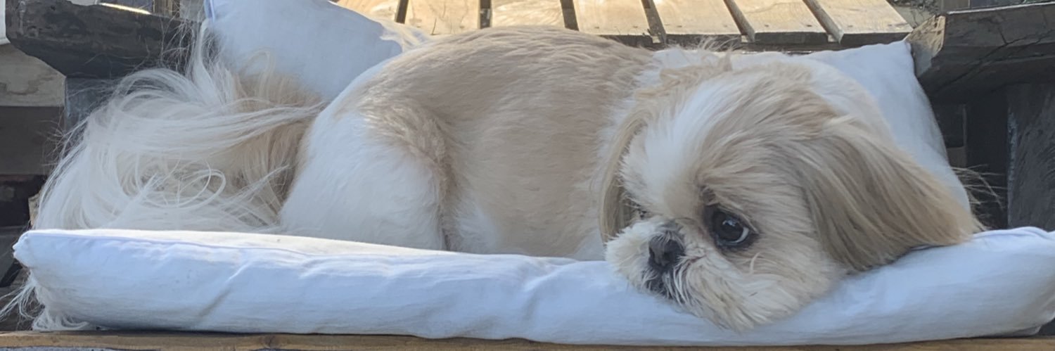 キャンディ banner