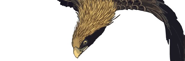ingarage banner