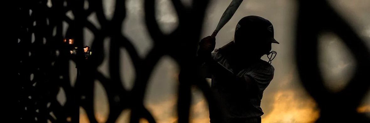 Adelaide hubbard banner