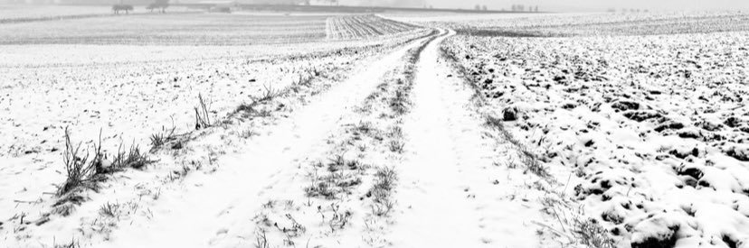 elisewetz's profile banner image