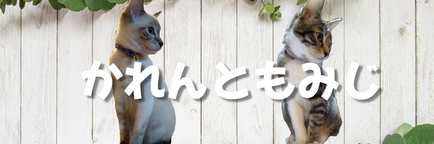 KareMomi's profile banner image
