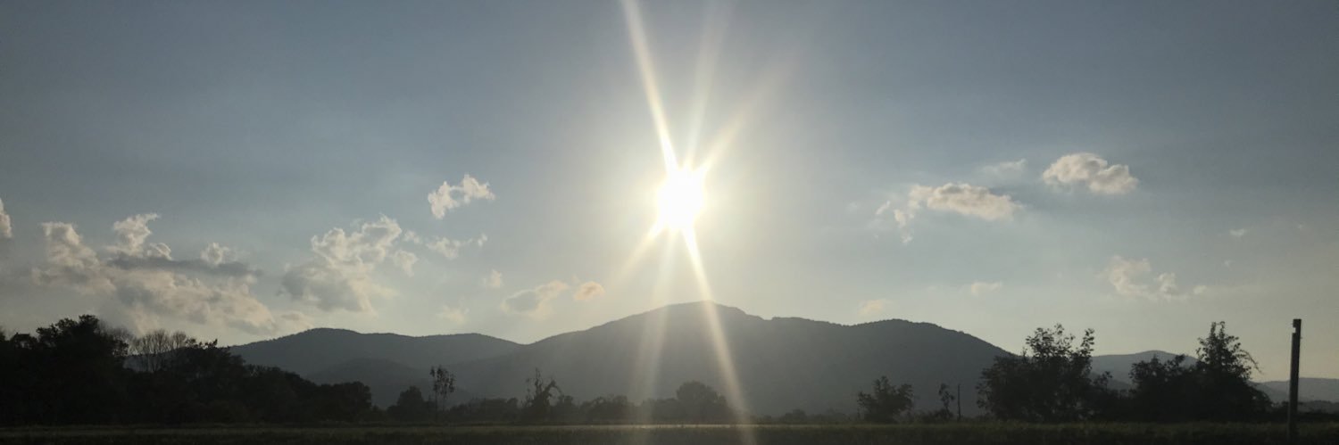 Brandy Cannon banner