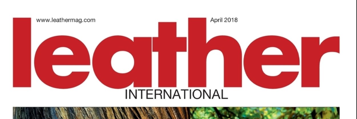 LeatherInt's profile banner image