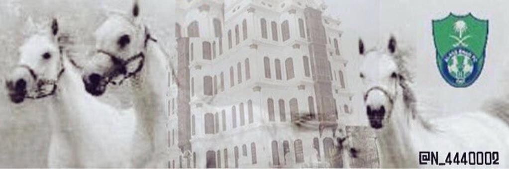 n_4440002's profile banner image