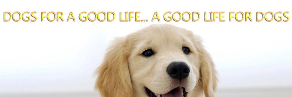 INKCdogs's profile banner image