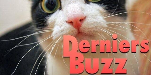 DerniersBuzz's profile banner image