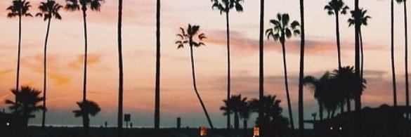 FlckigerCamille's profile banner image