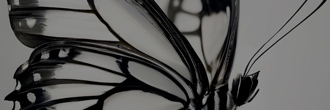 gaxilicious's profile banner image