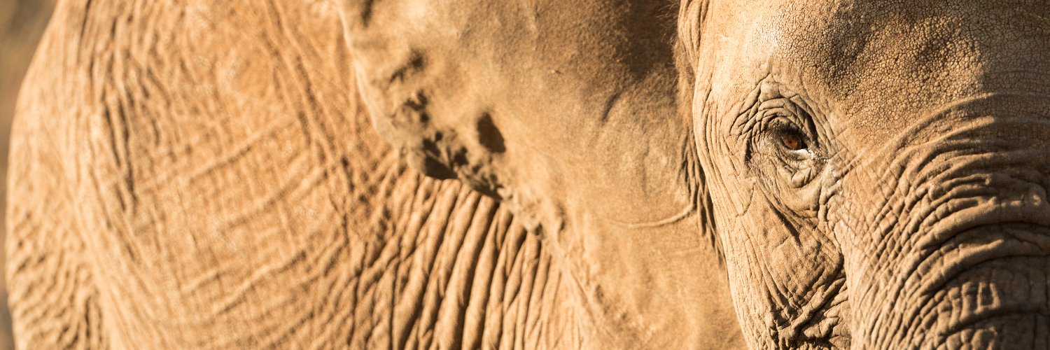 MoritzPoll's profile banner image