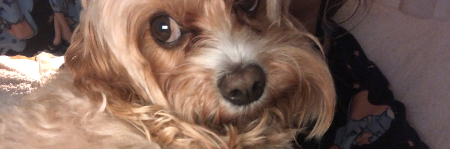 Molly Howarth banner