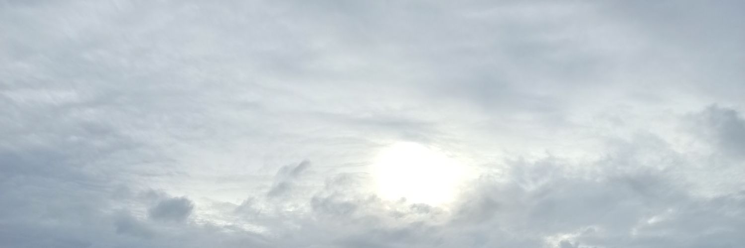 emelyso's profile banner image