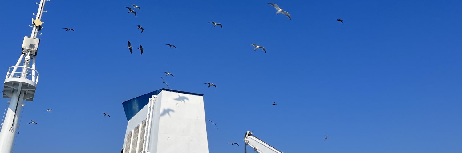 shenying_hao's profile banner image