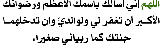 alameed_net's profile banner image