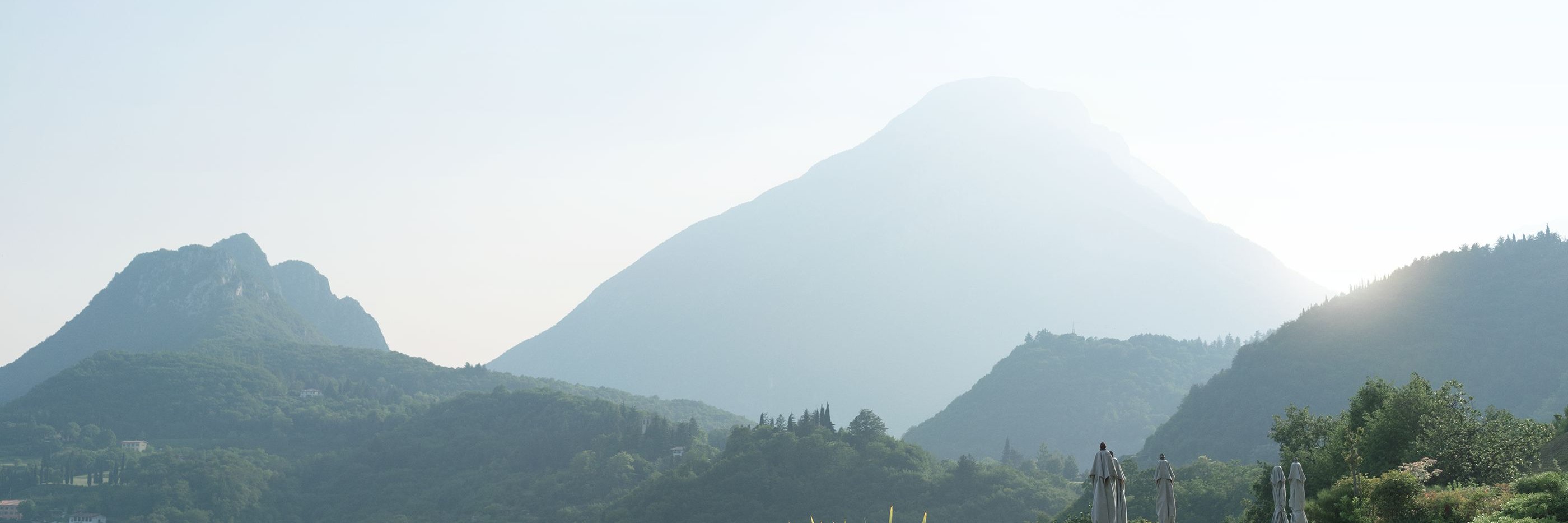 Satoshi's Vision Conference banner