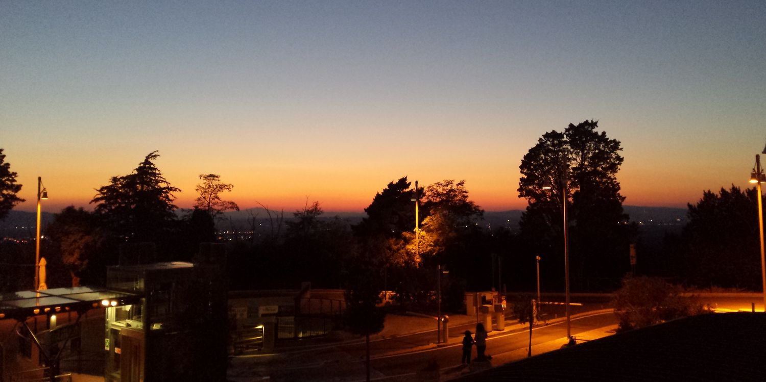 Stephanie Louise banner