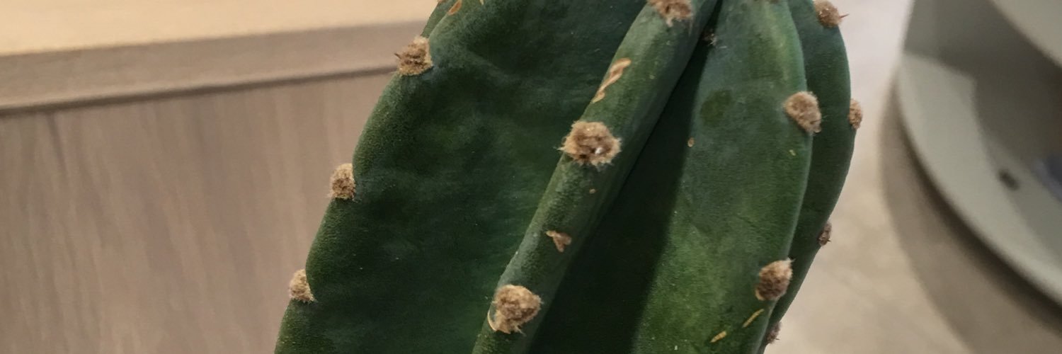 农夫大战三千牛 banner