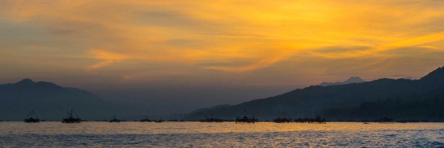 danieledejayadi's profile banner image