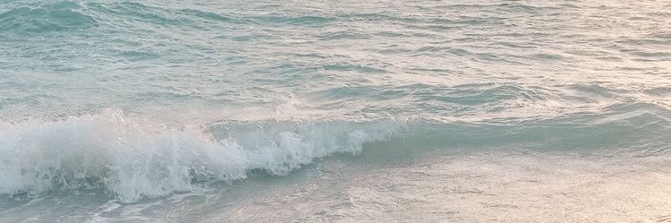 __chxyprz's profile banner image