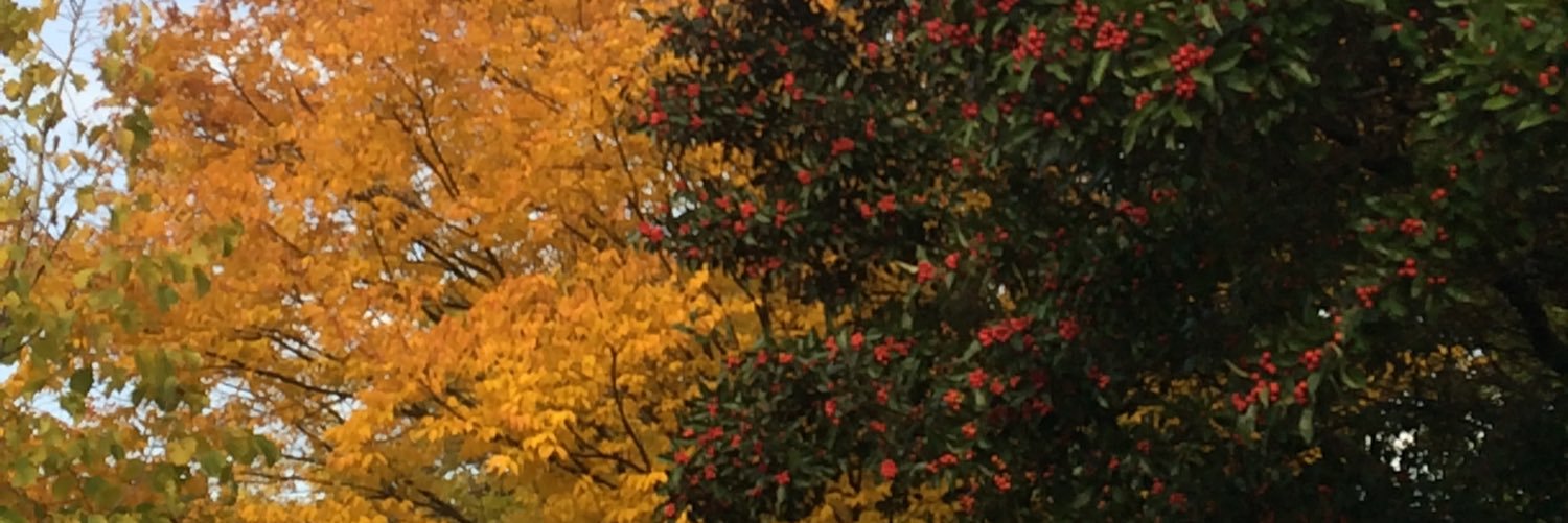 PatDow21's profile banner image