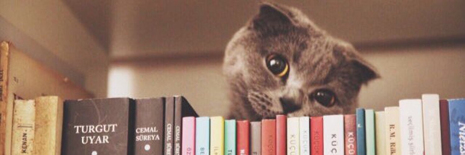 mavininotesi's profile banner image
