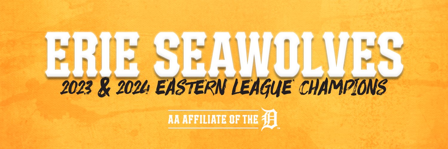 Erie SeaWolves's banner