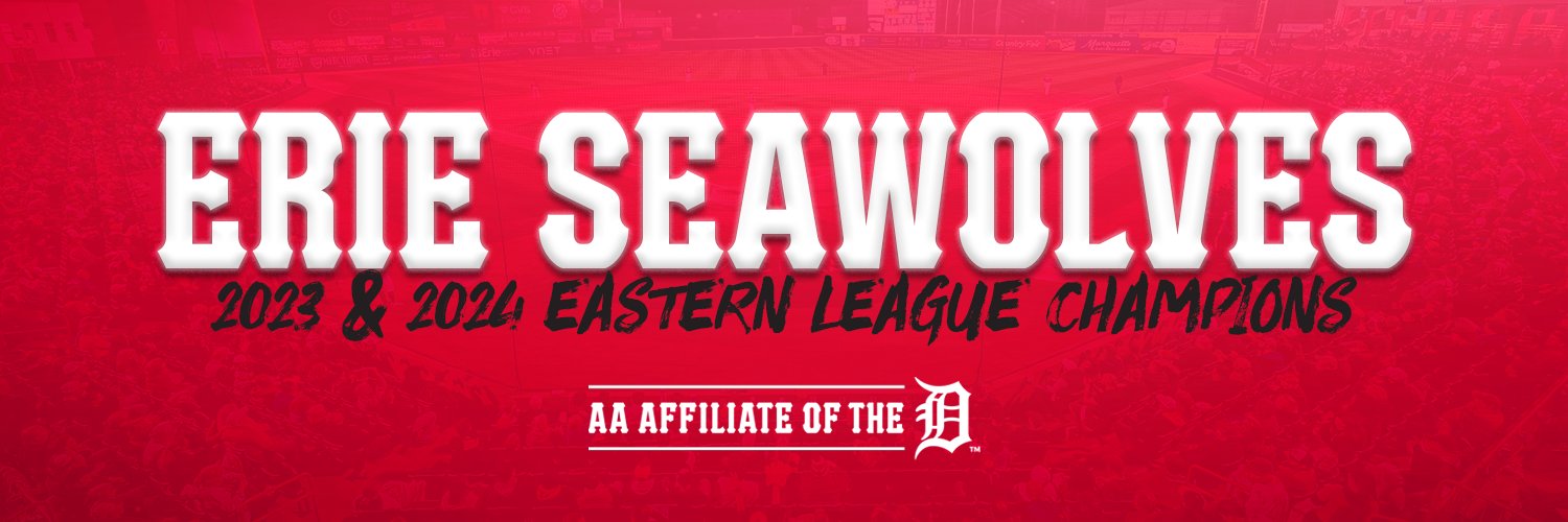 Erie SeaWolves banner