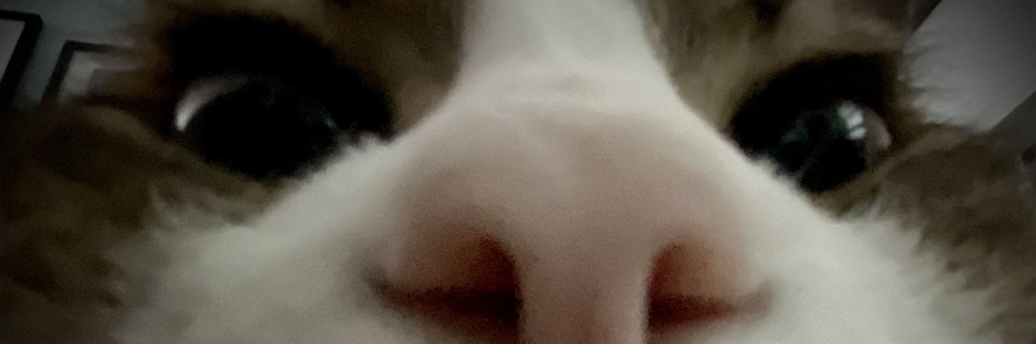 GalenRTFSL's profile banner image