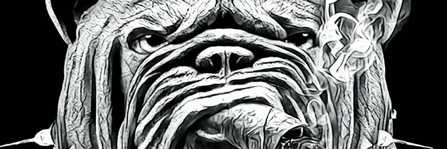 lmcveyii's profile banner image