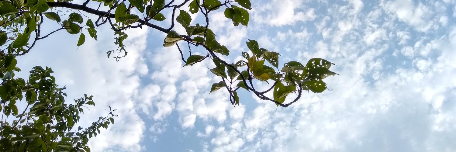 RebeccaMarketer's profile banner image