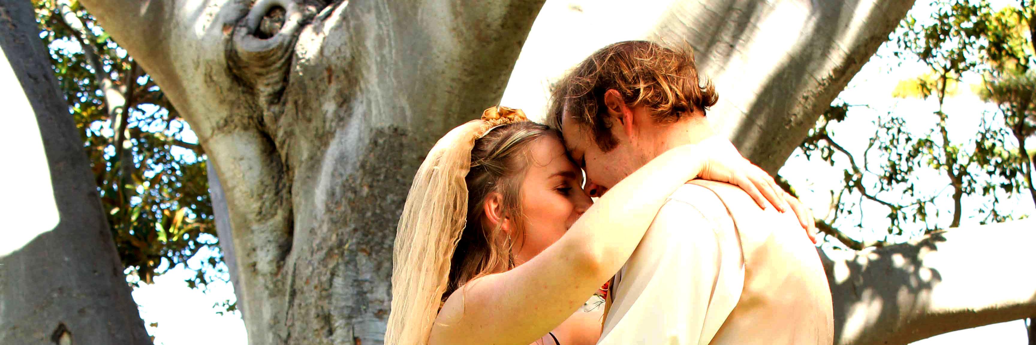 Rachel Zinserling banner