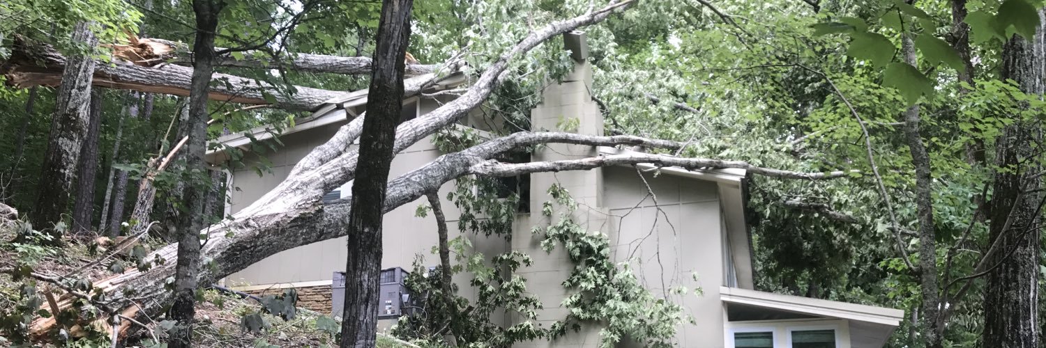 wilsonjeff24's profile banner image