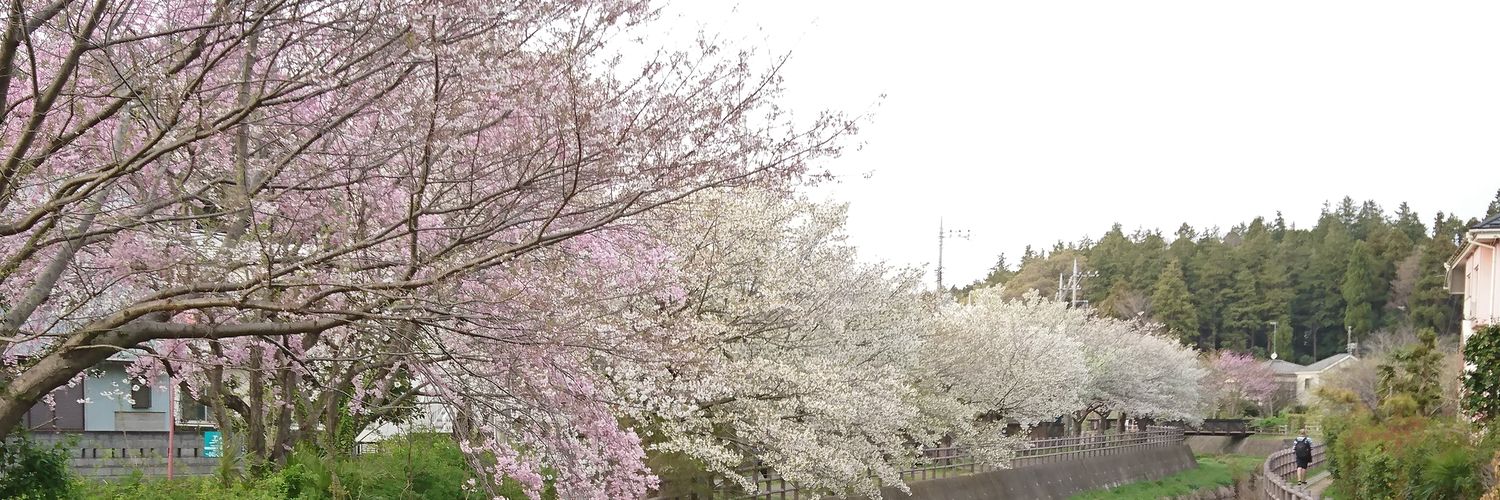 jukyoha's profile banner image