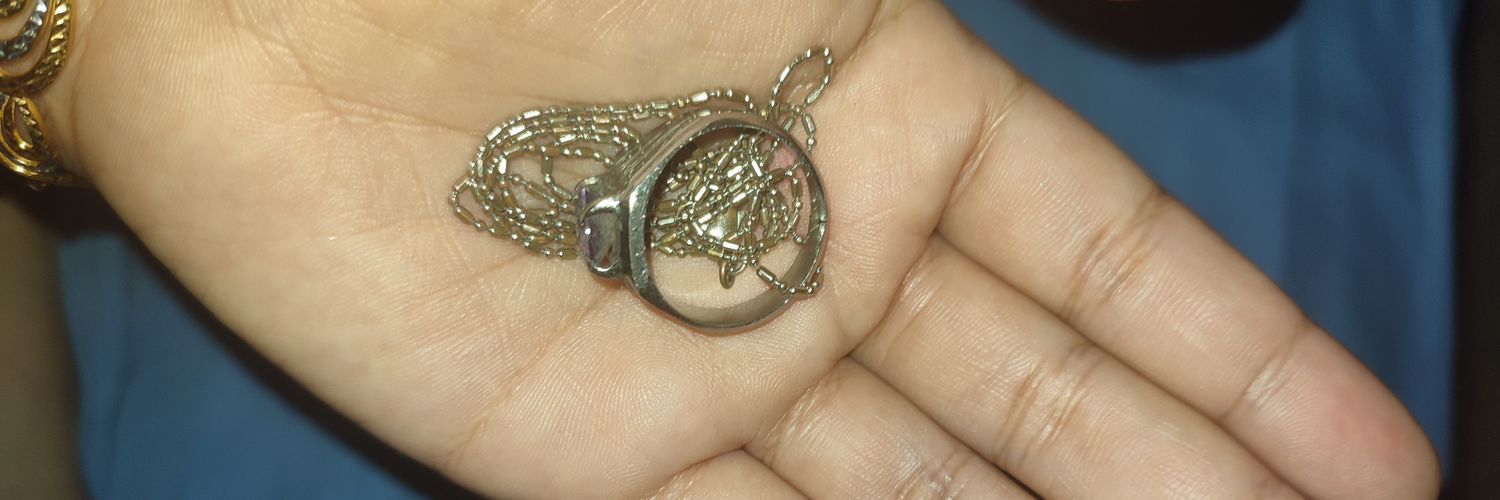NSaraHasri's profile banner image
