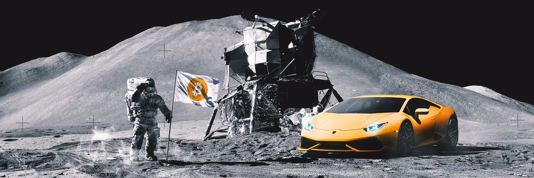 Crypto Goose banner