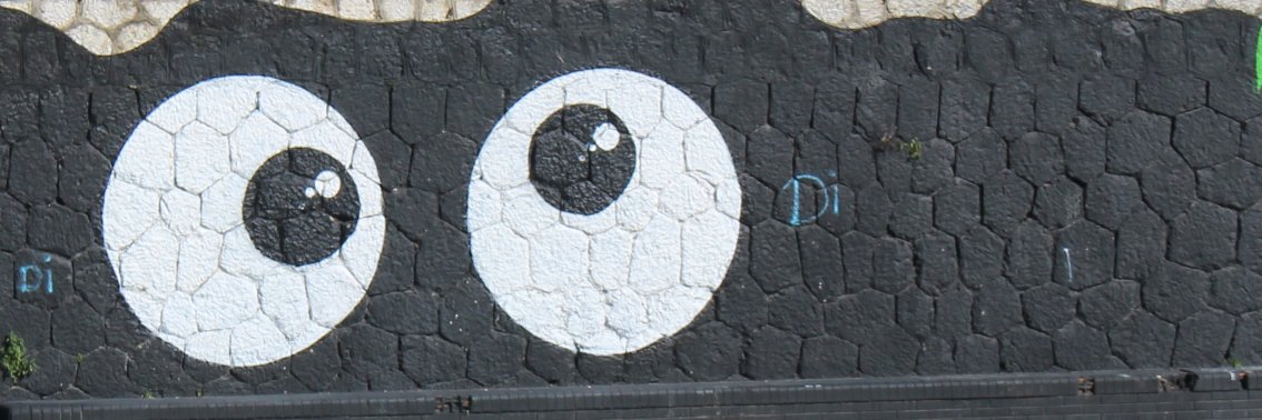 Antonio Picallo Chao banner