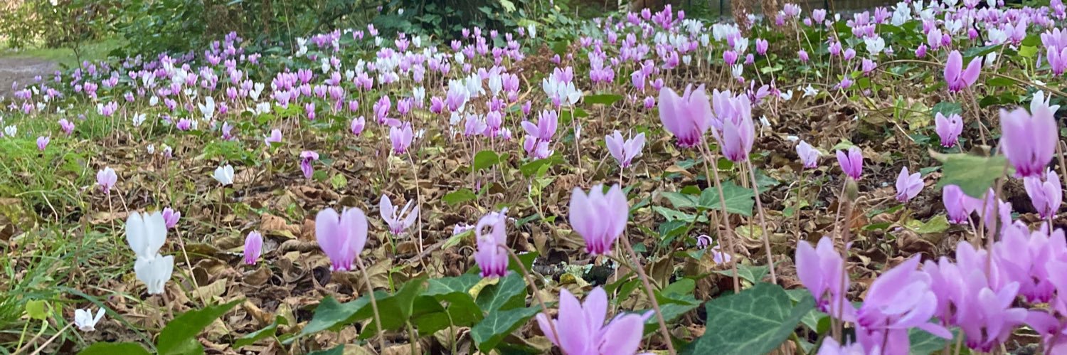 La personne en très bonne santé banner