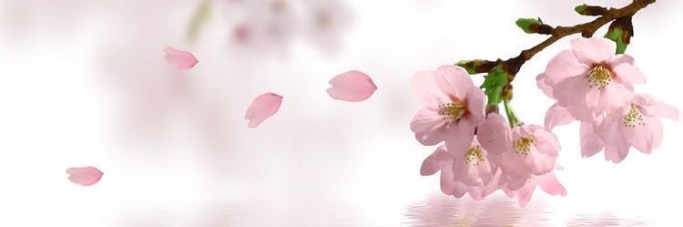 Huda_011b's profile banner image