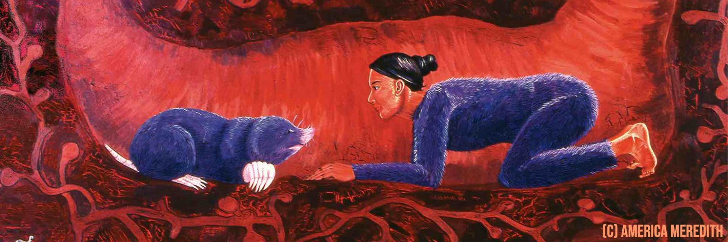 Катерина banner