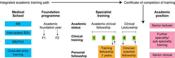 LivuniIcat Profile Banner