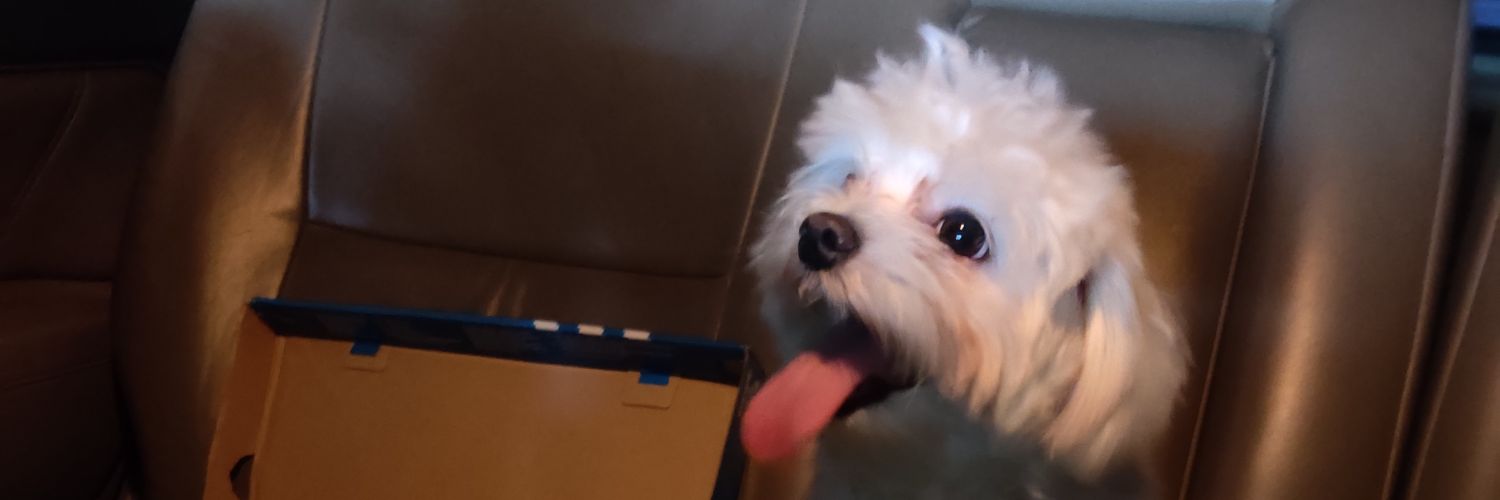 icedeveraa's profile banner image